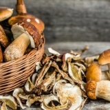 Kako čuvati vrganje: za zimu i nedelju dana, rokovi i uslovi skladištenja